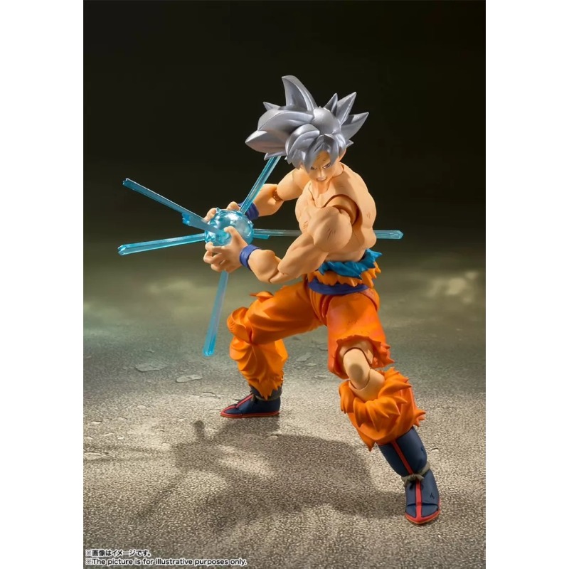 반다이 타마시 네이션즈 S.H.Figuarts 드래곤볼 - Bandai Tamashii Nations S.H.Figuarts 리뷰 및 가격