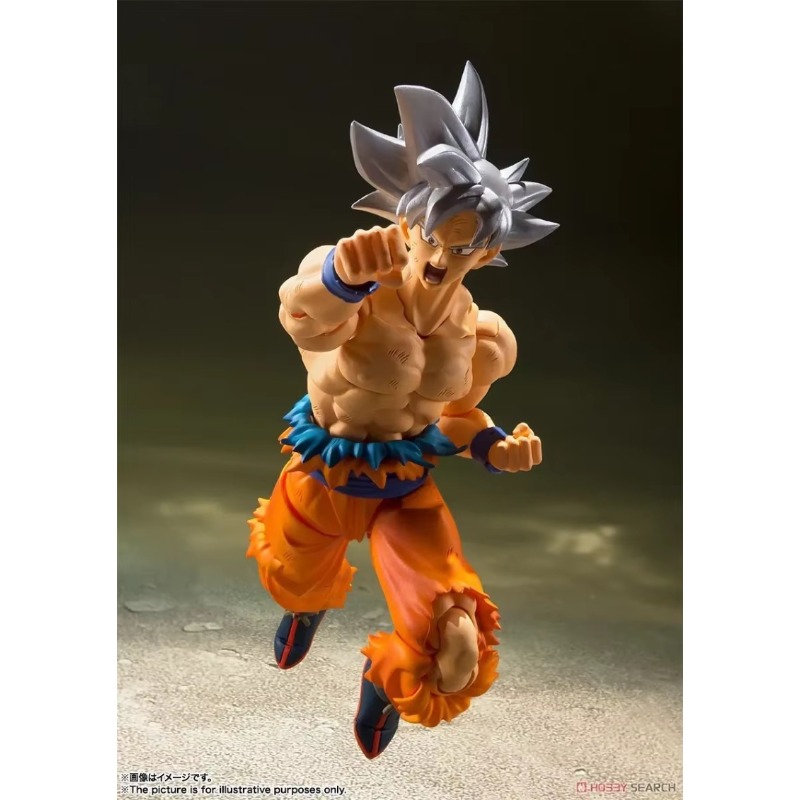 반다이 타마시 네이션즈 S.H.Figuarts 드래곤볼 - Bandai Tamashii Nations S.H.Figuarts 리뷰 및 가격