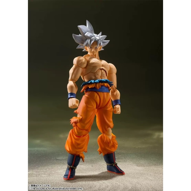 반다이 타마시 네이션즈 S.H.Figuarts 드래곤볼 - Bandai Tamashii Nations S.H.Figuarts 리뷰 및 가격